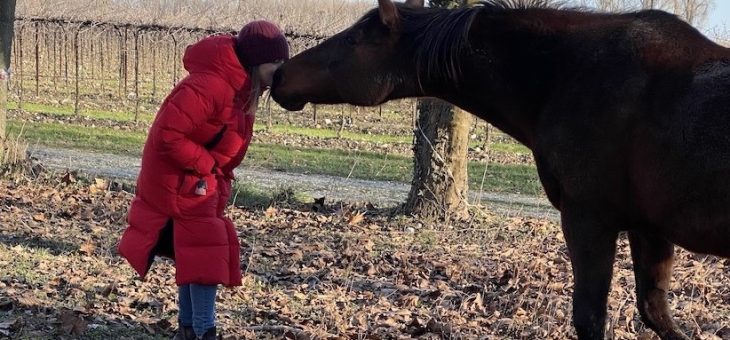 Quando l’amore è sano